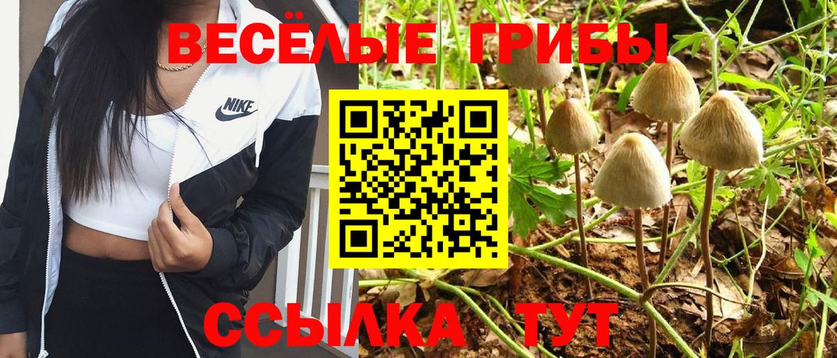 Псилоцибиновые грибы Psilocybe  Вход с VPN  Балашов 