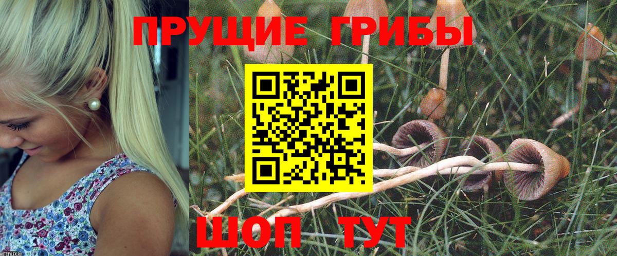 Галлюциногенные грибы Magic Shrooms Балашов